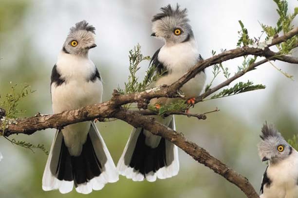 Local cultural experience near Moshi