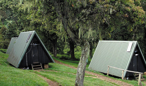 Horombo Hut surrounded by alpine vegetation
