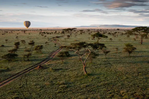 Tarangire Adventure